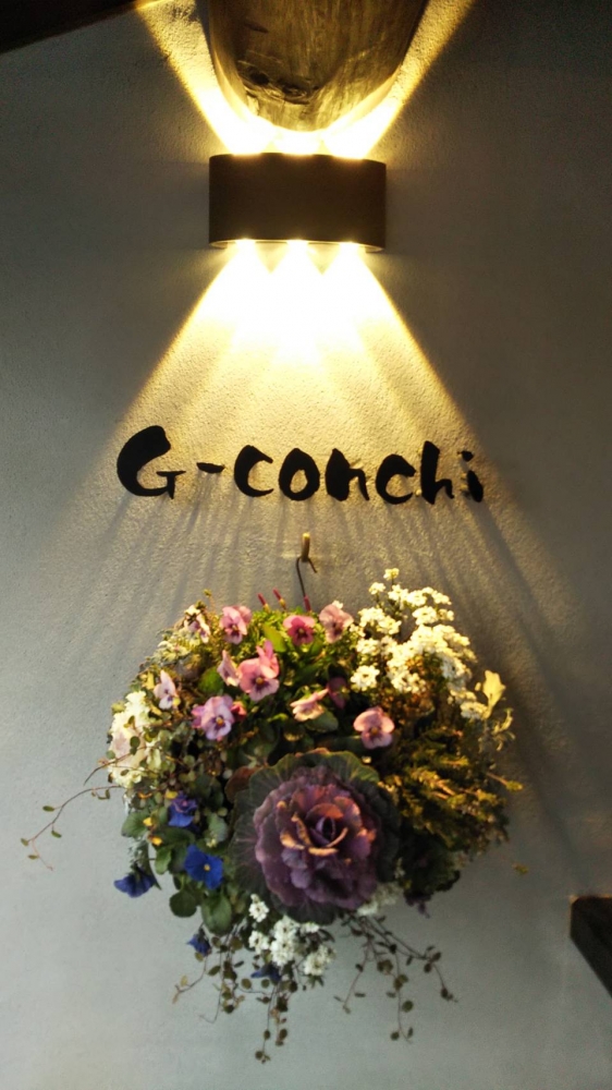 G-conchi